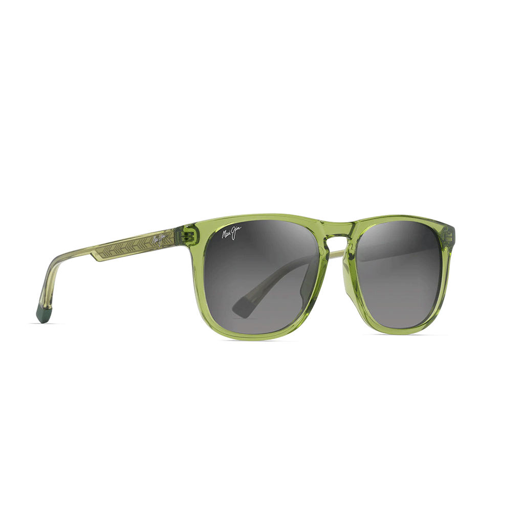 Nos lunettes