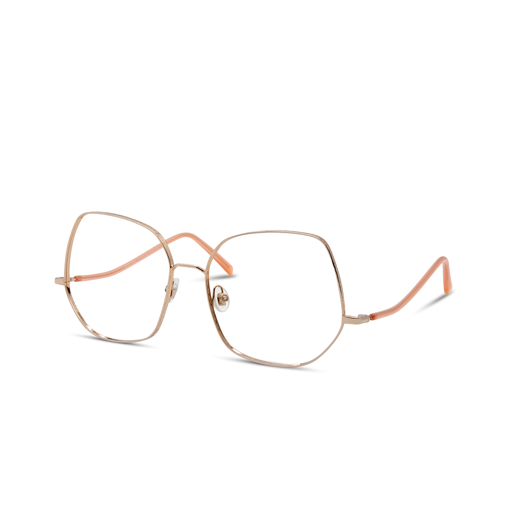 Nos lunettes