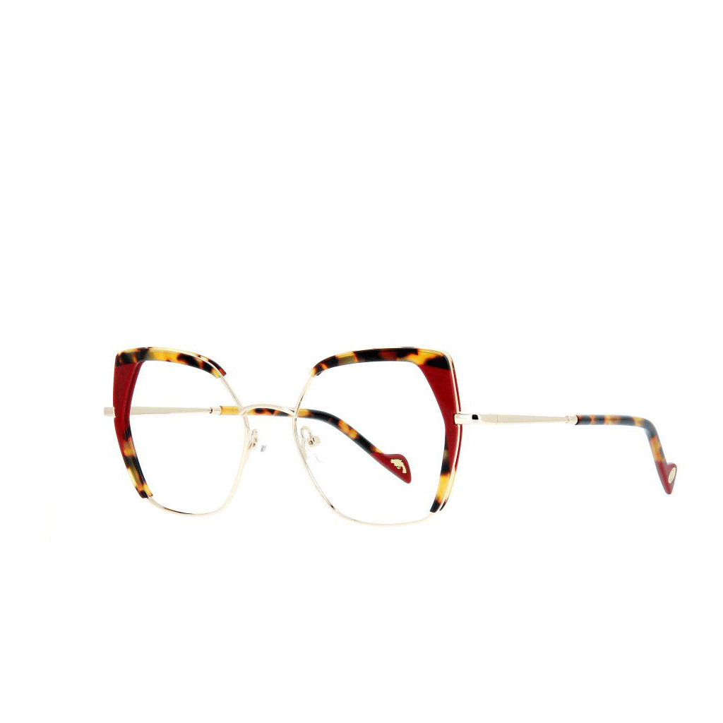 Nos lunettes