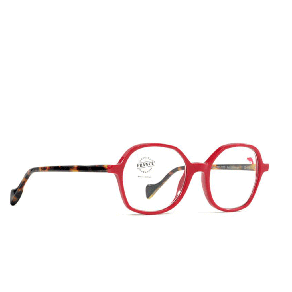 Nos lunettes