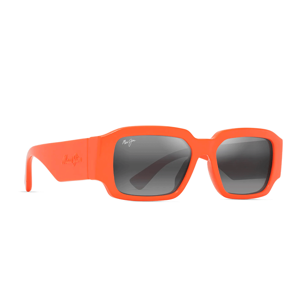 Nos lunettes