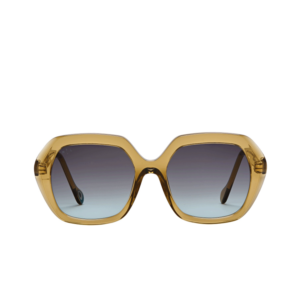 Nos lunettes