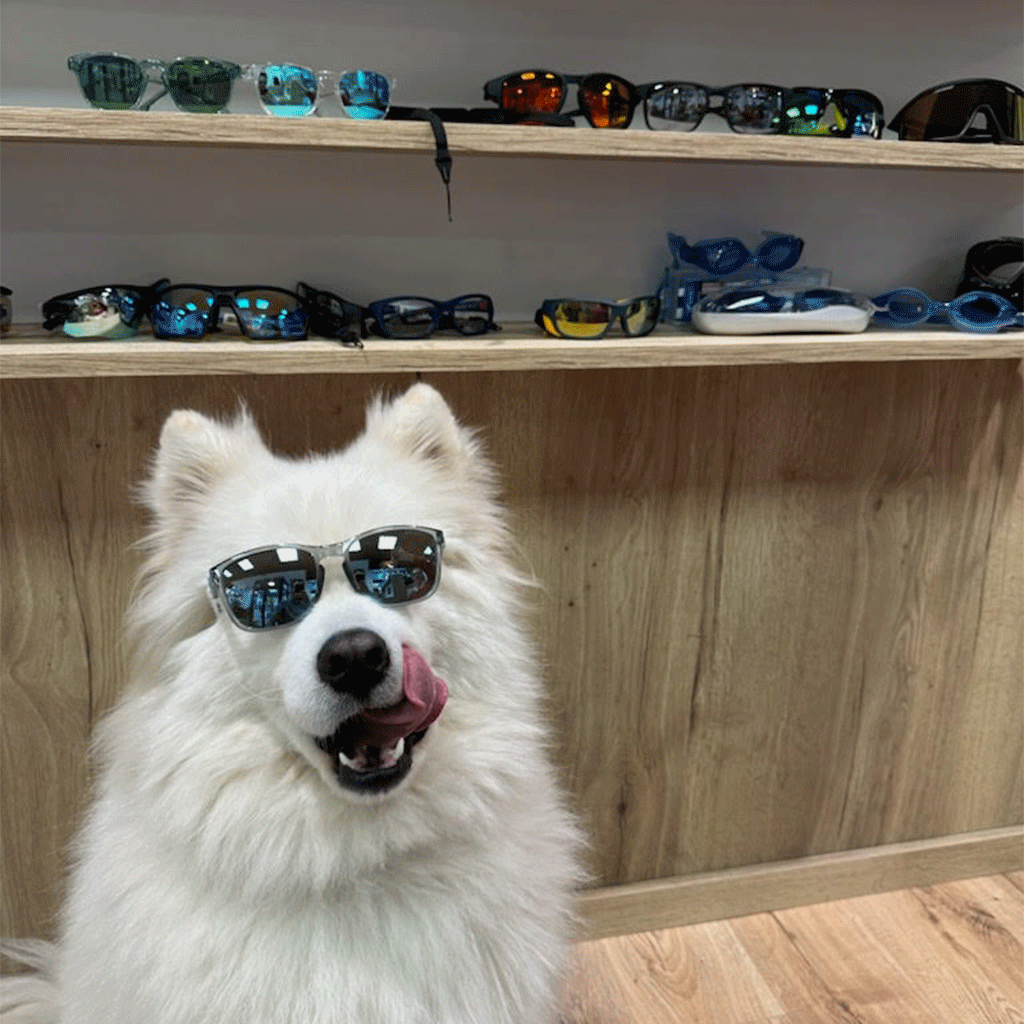Taigo
